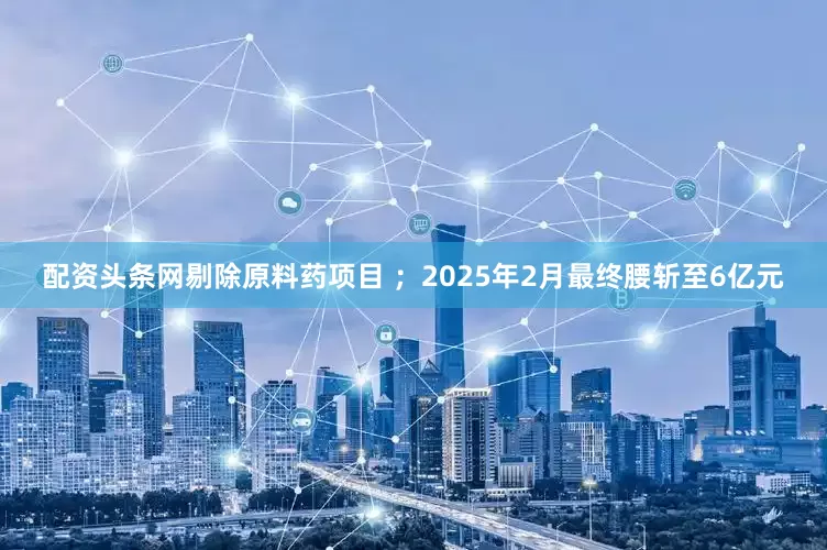 配资头条网剔除原料药项目 ；2025年2月最终腰斩至6亿元