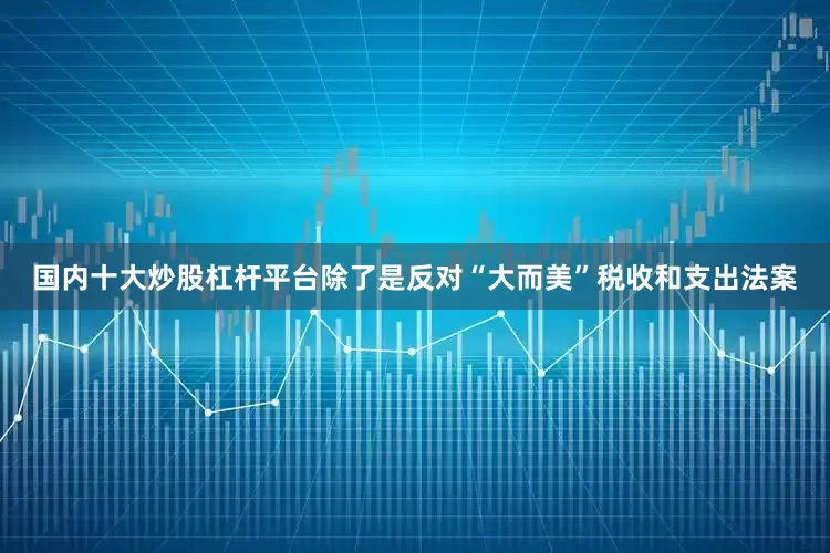国内十大炒股杠杆平台除了是反对“大而美”税收和支出法案