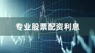 专业股票配资利息