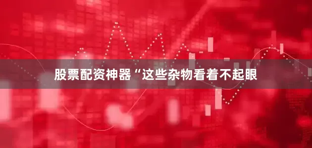 股票配资神器“这些杂物看着不起眼