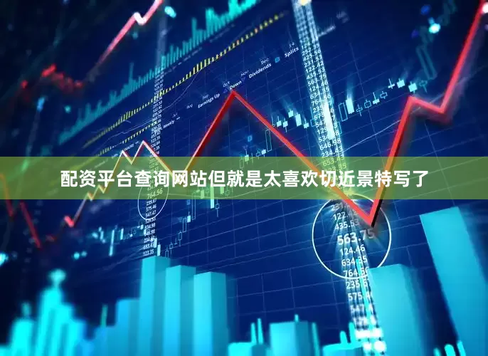 配资平台查询网站但就是太喜欢切近景特写了