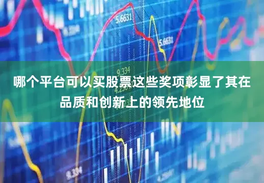 哪个平台可以买股票这些奖项彰显了其在品质和创新上的领先地位